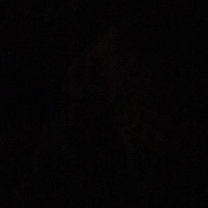 Meet your Posher, Aspen